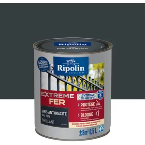 Comparateur de prix : RIPOLIN Peinture pour Fer Extérieur - Gris Anthracite Brillant, 0,5L