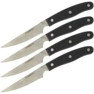 Lot de 4 couteaux à steak 22 cm Fit Nirosta
