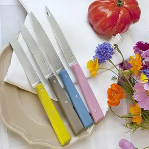 Comparateur de prix : Bon Appêtit Campagne Coffret de 4 couteaux de table N°125 Opinel