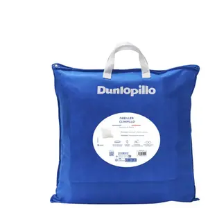 DUNLOPILLO Oreiller Carré 60 x 60 cm CLINIPILLOVendu parconforama