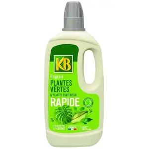 KB Engrais Rapide Plantes Vertes Et Plantes D'intérieur 1L