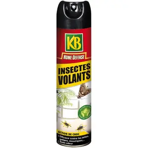Comparateur de prix : KB Insectes volants aérosol - 400 ml