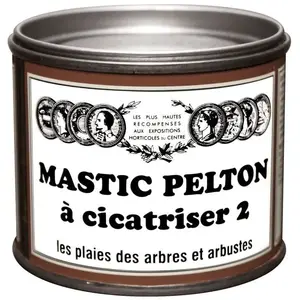 Comparateur de prix : Mastic à cicatriser pour troncs d'arbres - PELTON - Résine 40% - 0,4Kg