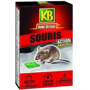 KB Souris céréales 100G pas cher
