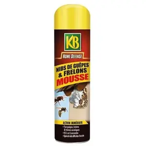 Comparateur de prix : KB Mousse nid de guêpes et frelons - 500 ml