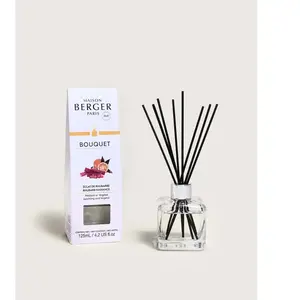 Maison berger paris Diffuseur d'arômes Cube Rhubarbe Radiance 125 ml pas cher