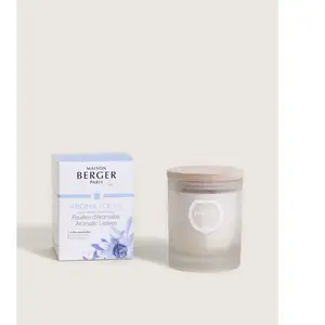 Maison Berger Bougie parfumée Aroma Focus pas cher