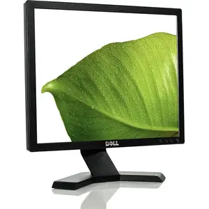 Écran 17" LCD HD Dell E170Sb pas cher