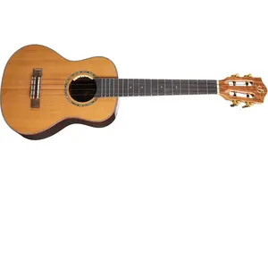 Comparateur de prix : Flight Princess Series Diana Tenor ukulélé ténor électro-acoustique avec housse