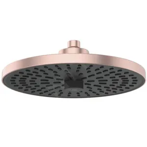 Ideal Standard Alu+ Douche de tête, 2 jets, BD581RO, pas cher