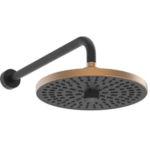 Ideal Standard Alu+ Douche de tête, 2 jets, BD581BR, pas cher