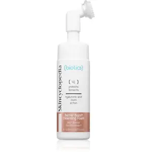 Skincyclopedia Biotics mousse nettoyante 150 ml pas cher