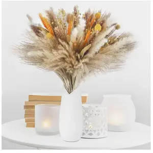 LITREVE 100pcs Pampa Séchée Naturelle Décoration Fleur Séché Bouquet Séché d'herbe de Pampa Boho Arrangement Mariage Chambre AnniversaireVendu parcdiscount
