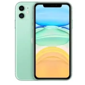Apple iPhone 11 64 Go 6.1" Vert pas cher