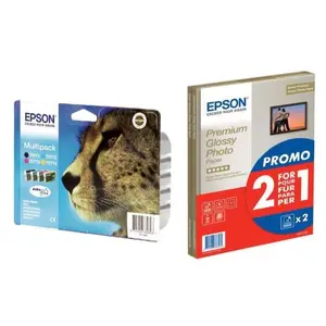 Lot Cartouches et Papier Epson T0715 Guépard Pack + Papier Photo pas cher