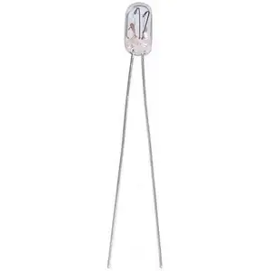 Barthelme - 21109640 Micro ampoule incandescente 6 v 0.24 w T1 clair 1...Vendu parconrad