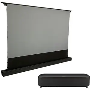 Epson EH-QS100 Noir + Oray ALR Série 2 Motorisé ascendant 120"Vendu parrue-du-commerce