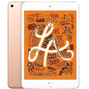 Apple iPad mini 5 (2019) Wifi+4G - 256 Go - Gris sidéral - pas cher
