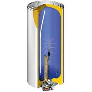 Chauffe-eau électrique THERMOR Duralis - 100 litres - Vertical mural -... pas cher