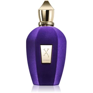 Xerjoff Accento Eau de Parfum mixte 100 ml pas cher