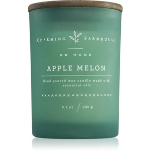 DW Home Charming Farmhouse Apple Melon bougie parfumée 230 g pas cher
