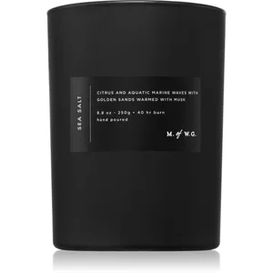 DW Home M. of W.G. Sea Salt bougie parfumée 250 g pas cher