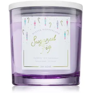 DW Home Winter Wonderland Sugared Fig bougie parfumée 510 g pas cher