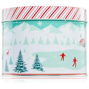 DW Home Scene & Stripes Cinnamon Gum Drops bougie parfumée 833 g pas cher