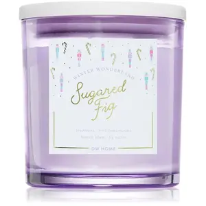 DW Home Winter Wonderland Sugared Fig bougie parfumée 374 g pas cher