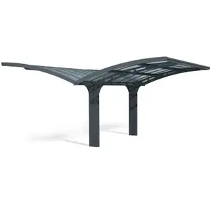 Comparateur de prix : Palram Palram - Carport Double 28.6m² Gris Anthracite 704950