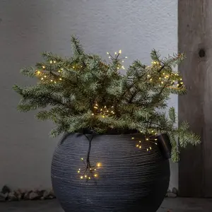 Comparateur de prix : STAR TRADING Guirlande lumineuse LED Dew Drops Flower