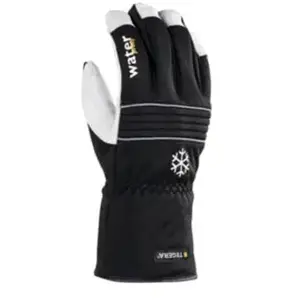 EJENDALS Paire de gants de protection contre le froid Tegera 296, Tail... pas cher