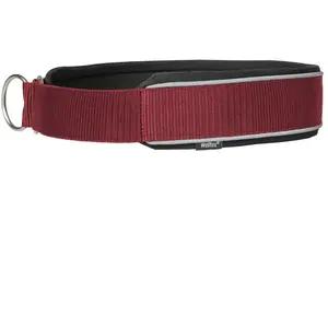 Collier pour chien Back on Track Charlie Rouge 50 cm 34024850 pas cher