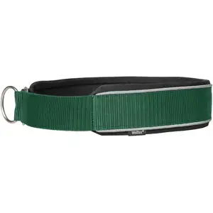 Collier pour chien Back on Track Charlie Vert 60 cm 34026860 pas cher