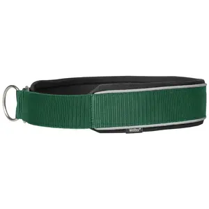 Collier pour chien Back on Track Charlie Vert 65 cm 34026865 pas cher
