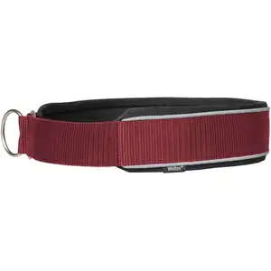 Collier pour chien Back on Track Charlie Rouge 65 cm 34024865 pas cher