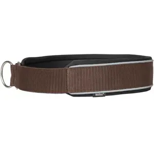 Collier pour chien Back on Track Charlie Marron 45 cm 34021745 pas cher