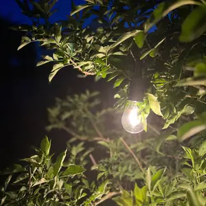 PR Home Luminaire d'extérieur LED à batterie 2406003, noir, intensité pas cher