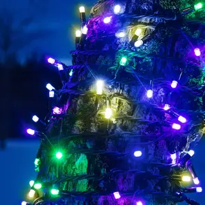 Markslöjd Guirlande lumineuse Chrissline Extra 50 LED multicolores pas cher