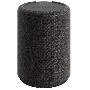 Comparateur de prix : Enceintes connectées Audio Pro G10 Gris foncé
