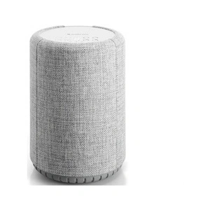 Enceinte Sans Fil - AUDIO PRO A10 - Gris Clair - Avec Bluetooth Wi-Fi - MultiroomVendu parcdiscount