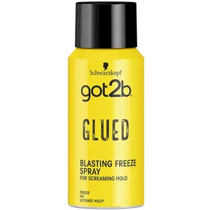 Comparateur de prix : Schwarzkopf got2b Glued Spray 100ml