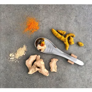 Râpe RIVSALT cuillere a rhizome de gingembre et pas cher