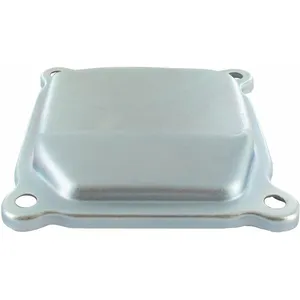 OEM Cache culbuteur GGP - CASTELGARDEN 118550206/1 pas cher