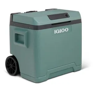 Glacière Thermoélectrique 12/230v 42l Igloo pas cher