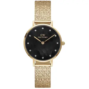 Daniel Wellington Petite Montre 28mm Double Plated Stainless Steel (316L) and Crystals Gold pas cher