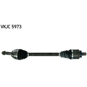 SKF Cardan pour RENAULT: Mégane, Scénic (Ref: VKJC 5973) pas cher