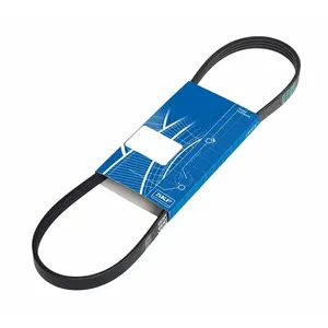 Courroie D'entrainement Skf Vkmv6pk900 pas cher
