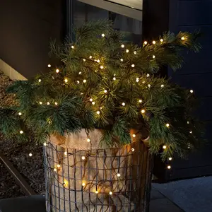 Comparateur de prix : Konstsmide Christmas Guirlande lumineuse LED d'ext. 80 lampes, bl.ch.