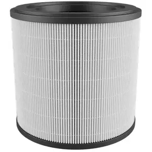 Electrolux Filtre Electrolux H13 EFFCAR2Vendu paramazon